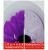 Sanita Luxe Best Унитаз-компакт с быстросъемным сидением микролифт и черной крышкой в Геленджике
